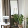 Yucca - Image 5